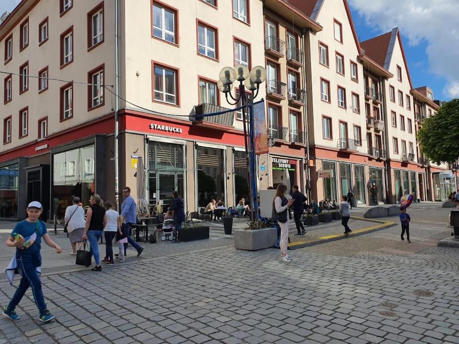 شقة Rynek Pod Fredra فروتسواف المظهر الخارجي الصورة