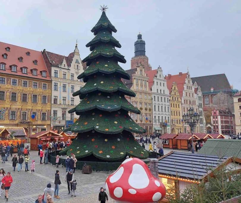 شقة Rynek Pod Fredra فروتسواف المظهر الخارجي الصورة